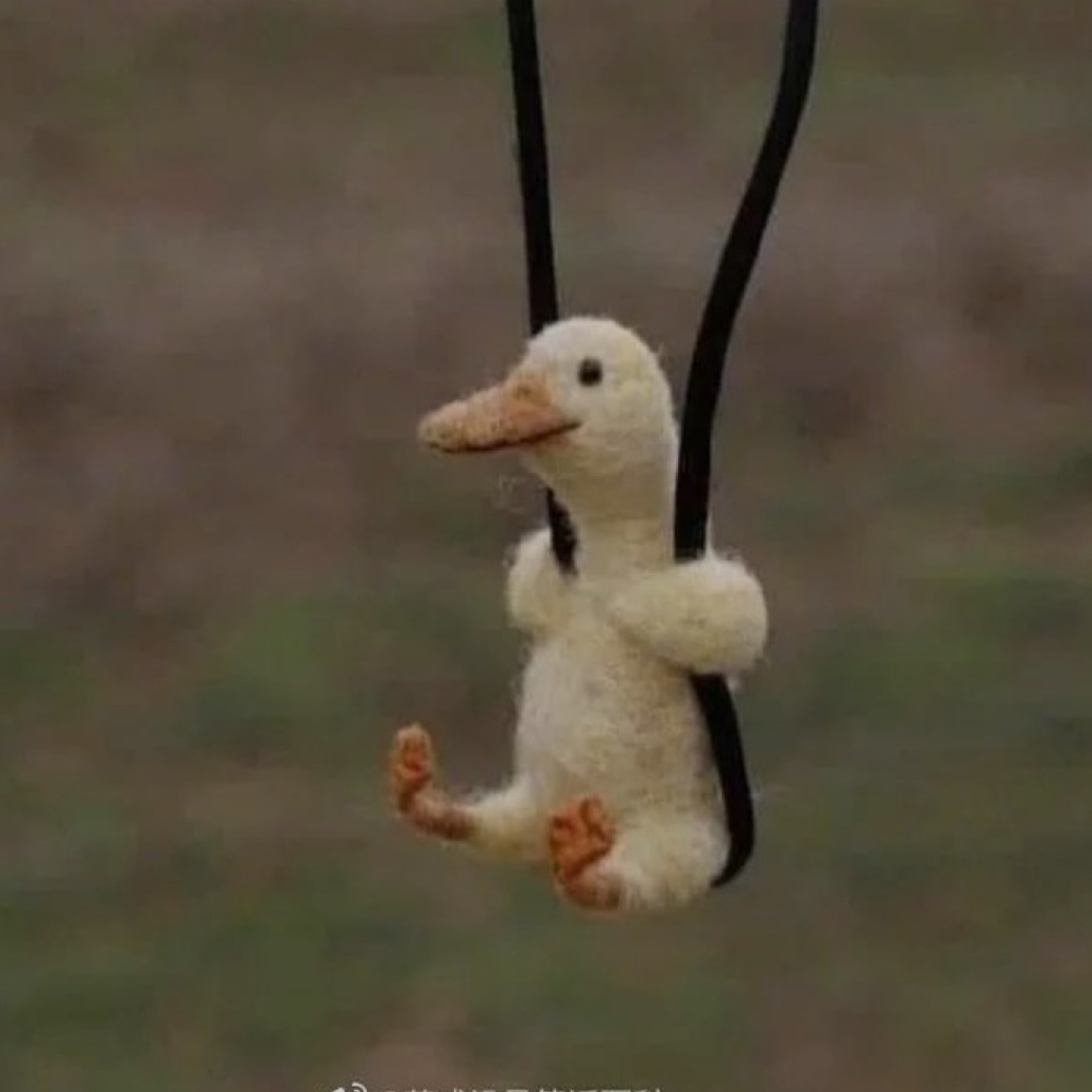 Meet your Posher, Liuer